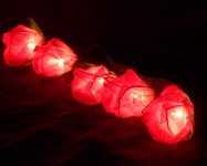 Red rose string fairy lights_sml.jpg